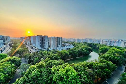 Celadon City Diamond